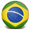 language flag